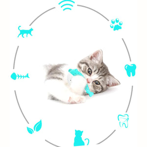 The Ultimate Silicone Pet Chew Toys for Your Furry Friends