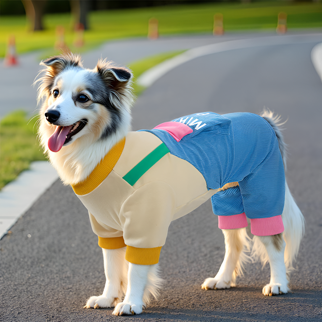 Stylish Pet Apparel for Every Season