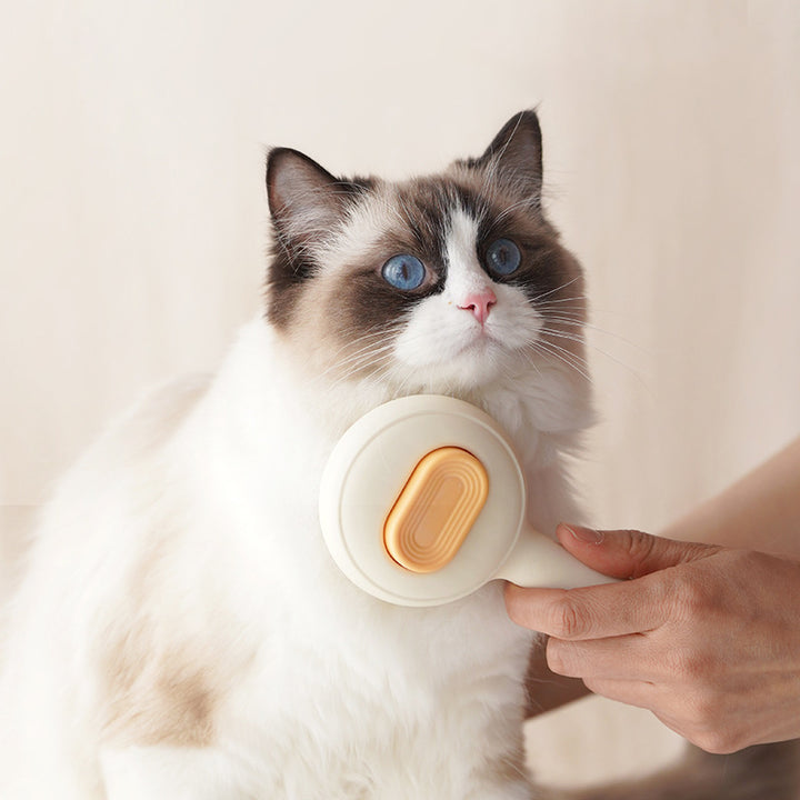 Non-slip Grooming Brush