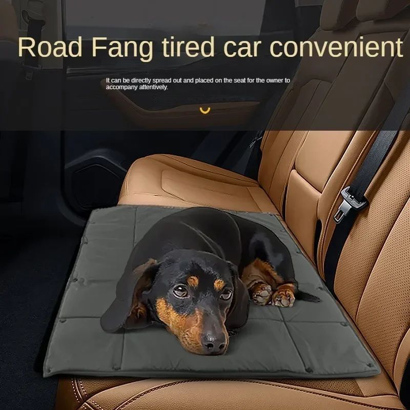 Portable 3-in-1 Pet Carrier