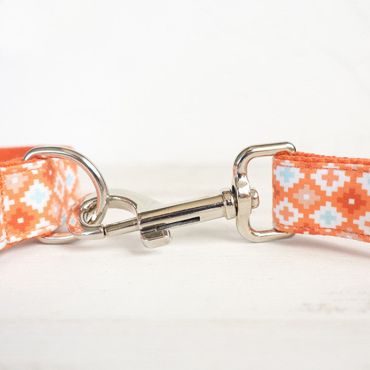 Pet Pen Leash Set
