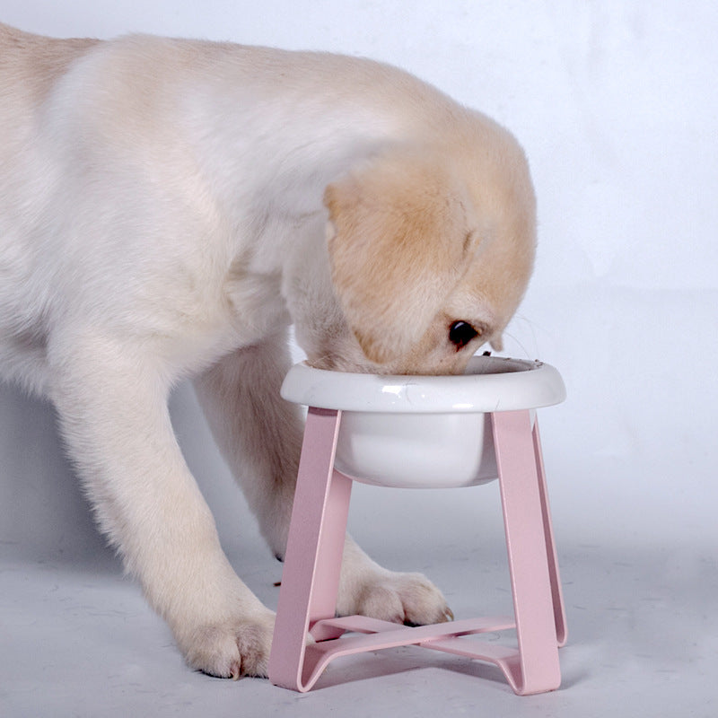 Pet Creative Anti-slip Feeding Bowl