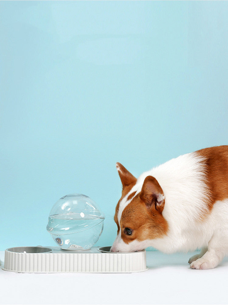 Plastic Pet Feeding Automatic Drinkers