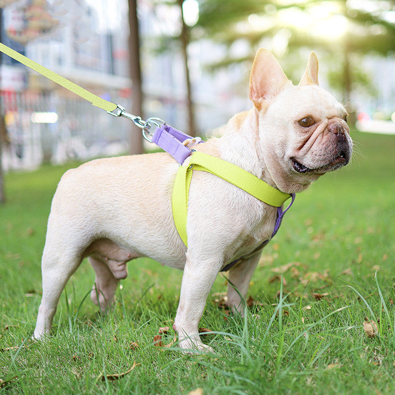 Color Pet Drawstring Vest-style Dog Leash