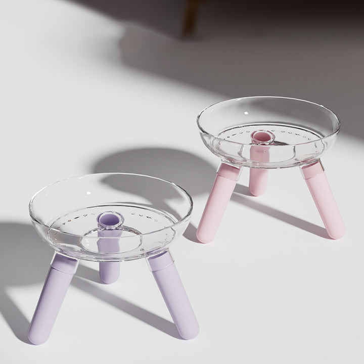 Pet Transparent Glass Feeding Bowl
