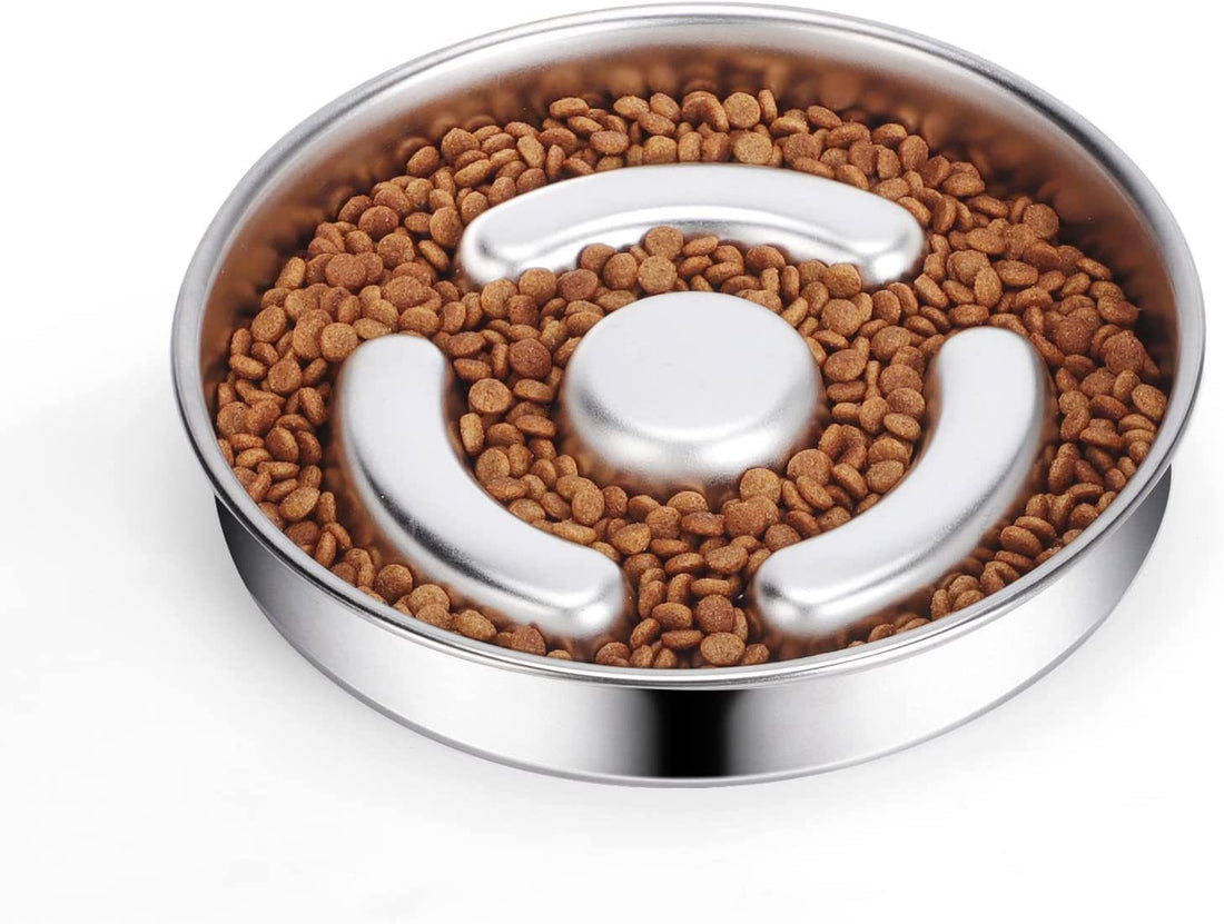 Pet Slow Feeding Bowl