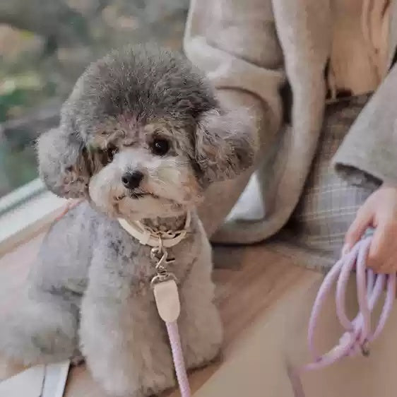 Dog Leather Hand Holding Rope Leash