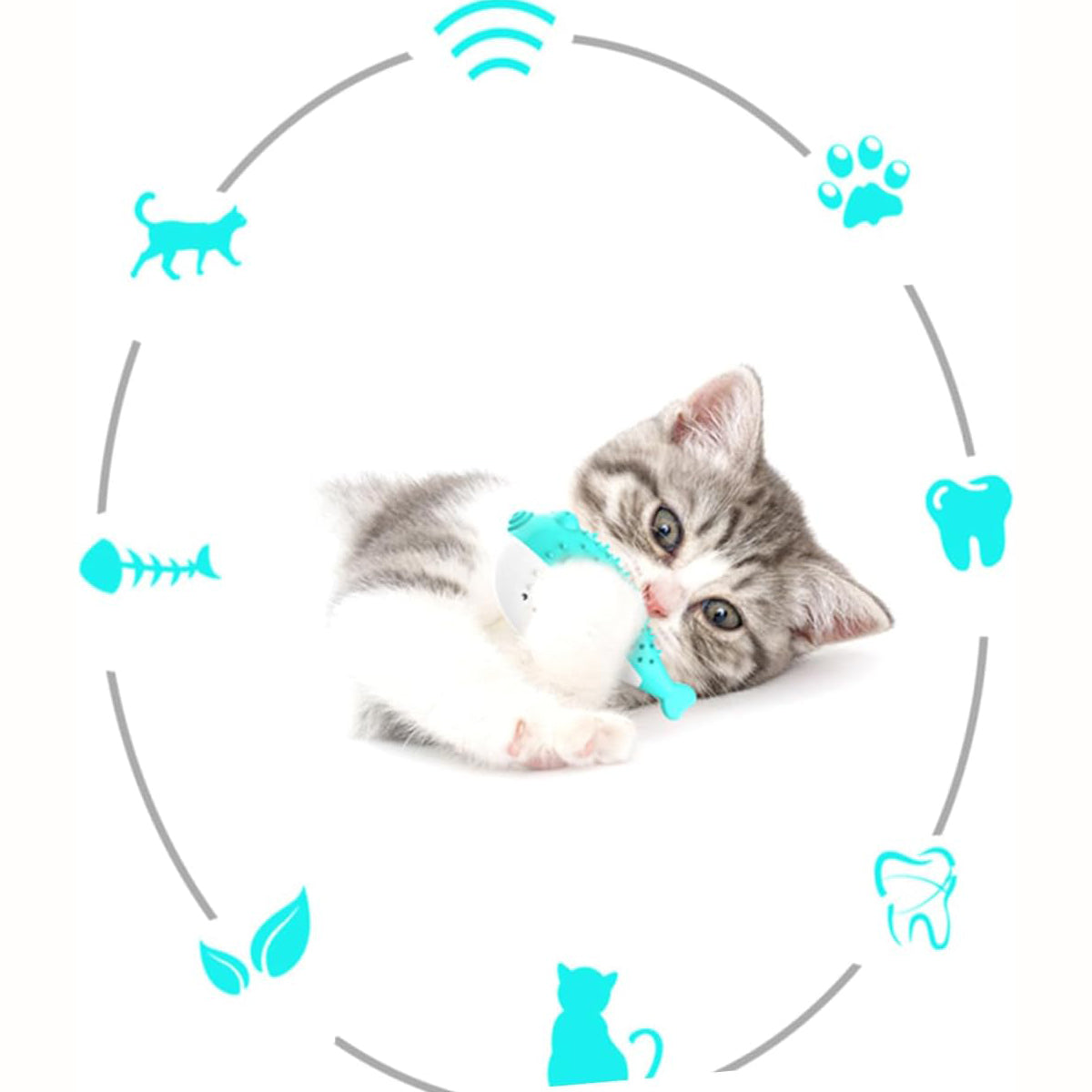 Silicone Pet Chew Toys