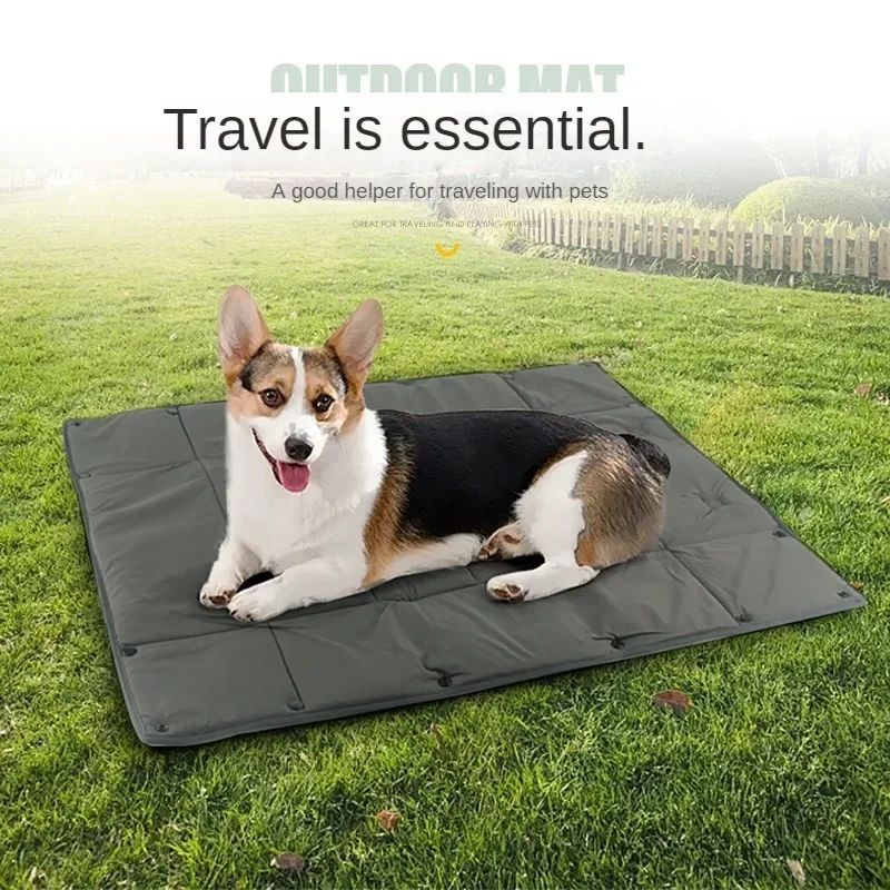 Portable 3-in-1 Pet Carrier