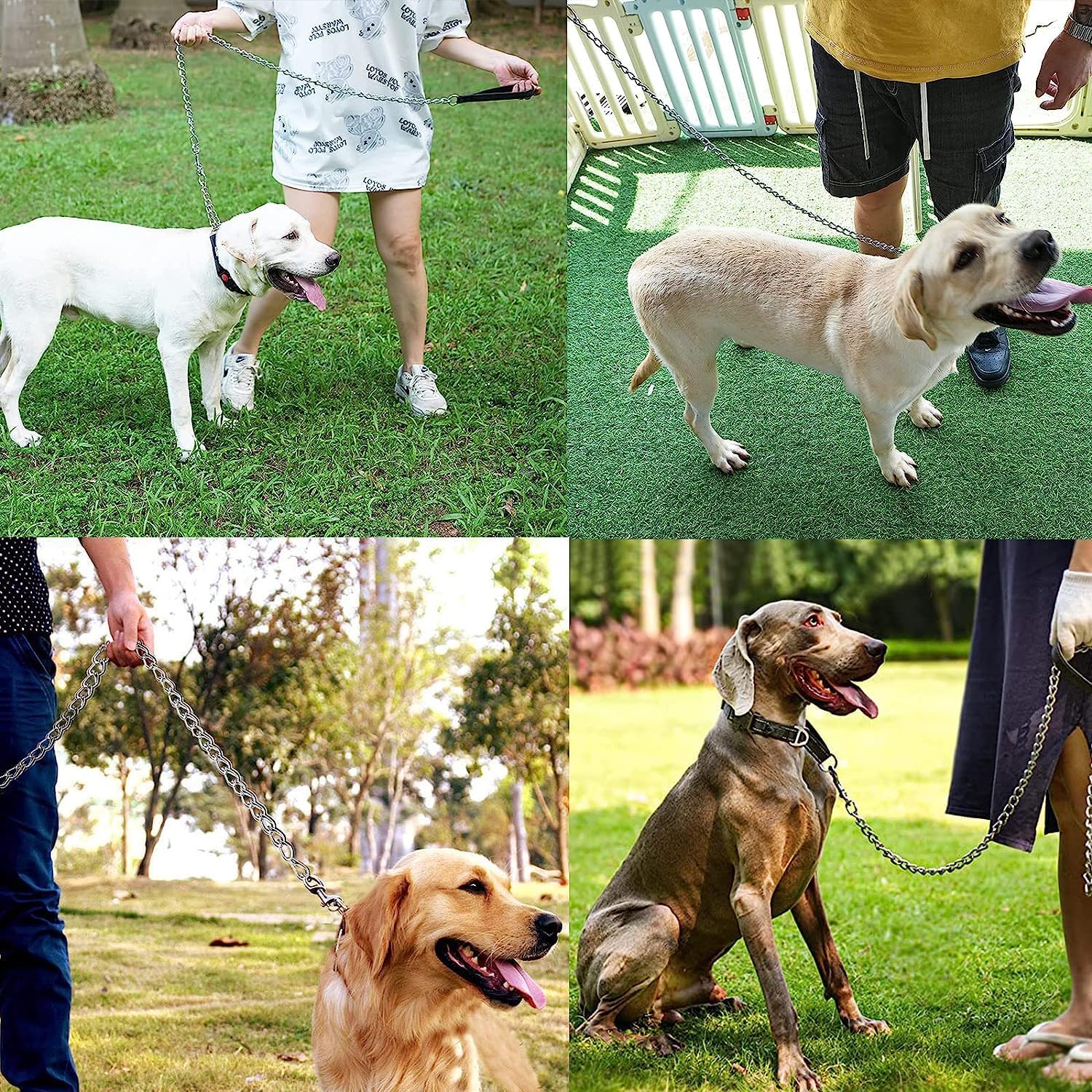 Heavy Duty Metal Dog Leash