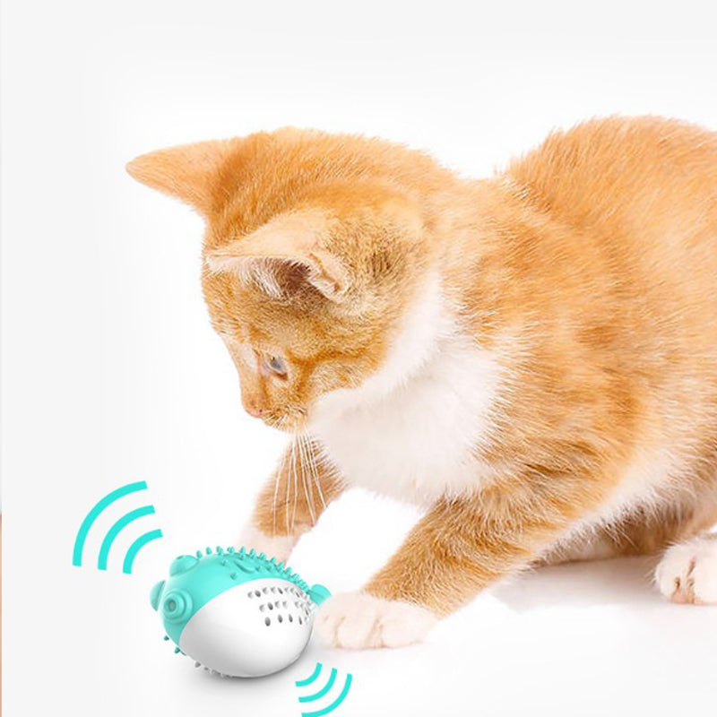 Silicone Pet Chew Toys