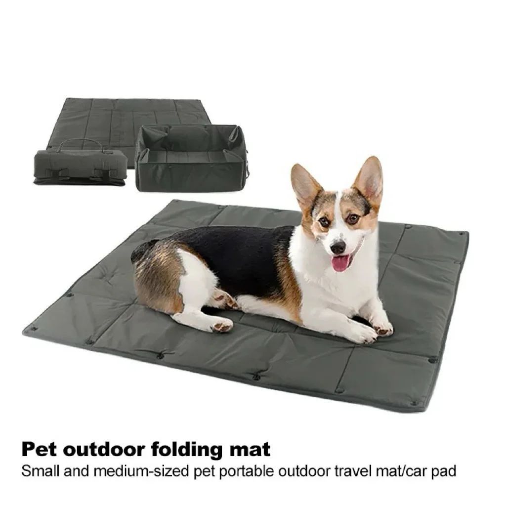 Portable 3-in-1 Pet Carrier