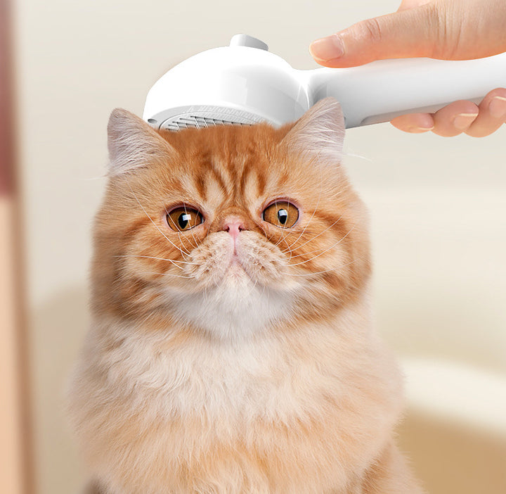 Pet Hair Remover Brush