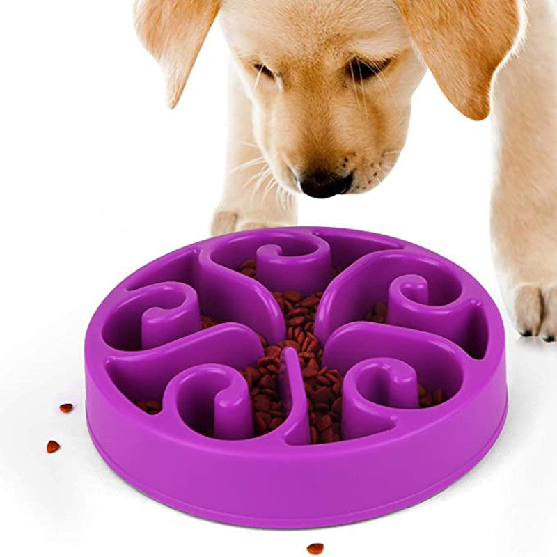 Pet Dog Slow Feeding Bowl