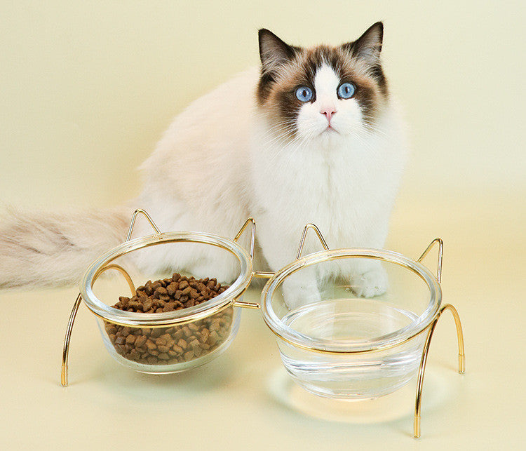 Pet Feeder With Metal Bowl Rack